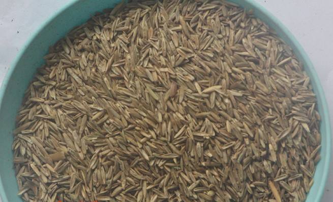 長沙東日園林工程有限公司,長沙園林綠化工程,長沙綠化養(yǎng)護管理 長沙東日園林工程有限公司,長沙園林綠化工程,長沙綠化養(yǎng)護管理